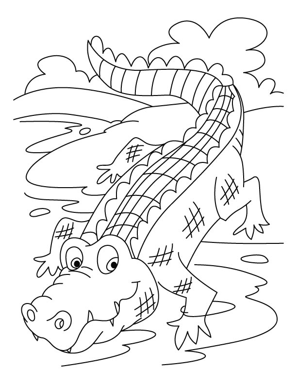 着色页: 鳄鱼 (动物) #4811 - 免费可打印着色页