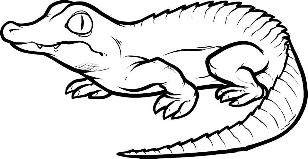 着色页: 鳄鱼 (动物) #4812 - 免费可打印着色页