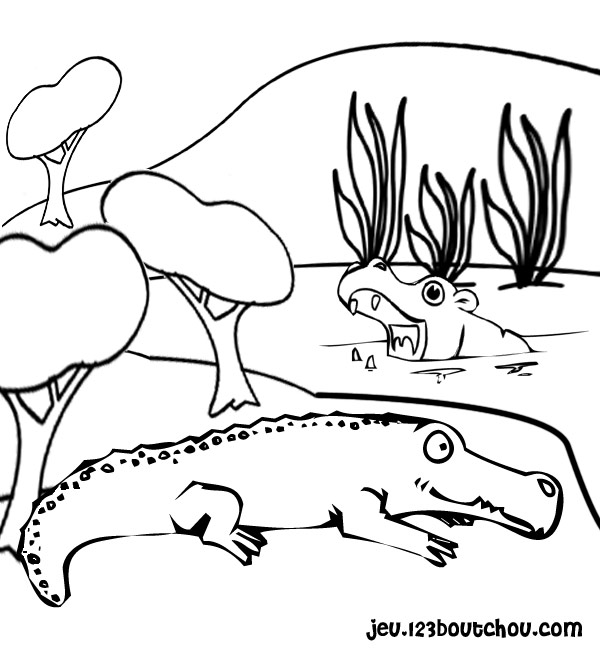 着色页: 鳄鱼 (动物) #4837 - 免费可打印着色页
