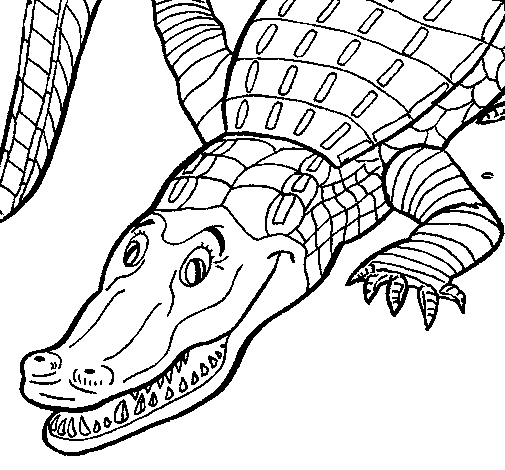 着色页: 鳄鱼 (动物) #4844 - 免费可打印着色页