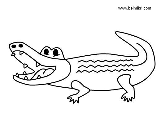 着色页: 鳄鱼 (动物) #4845 - 免费可打印着色页