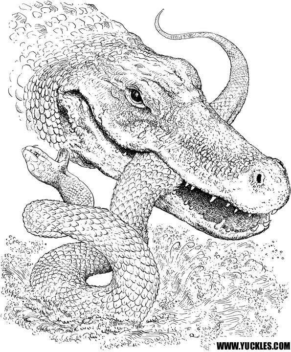 着色页: 鳄鱼 (动物) #4854 - 免费可打印着色页