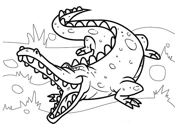 着色页: 鳄鱼 (动物) #4857 - 免费可打印着色页