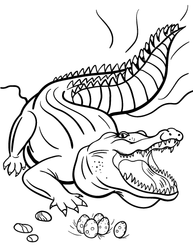 着色页: 鳄鱼 (动物) #4861 - 免费可打印着色页