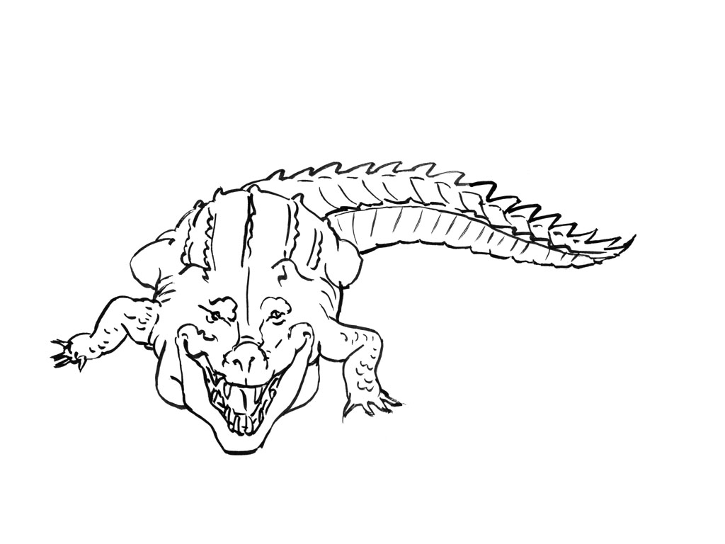 着色页: 鳄鱼 (动物) #4876 - 免费可打印着色页