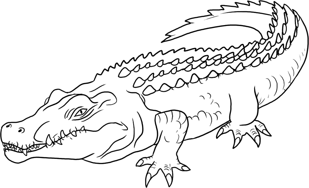 着色页: 鳄鱼 (动物) #4890 - 免费可打印着色页