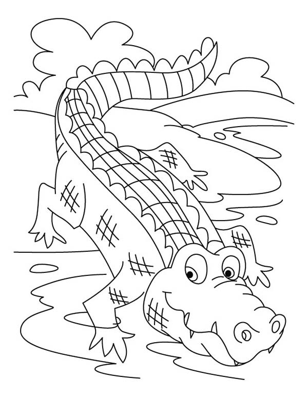 着色页: 鳄鱼 (动物) #4924 - 免费可打印着色页