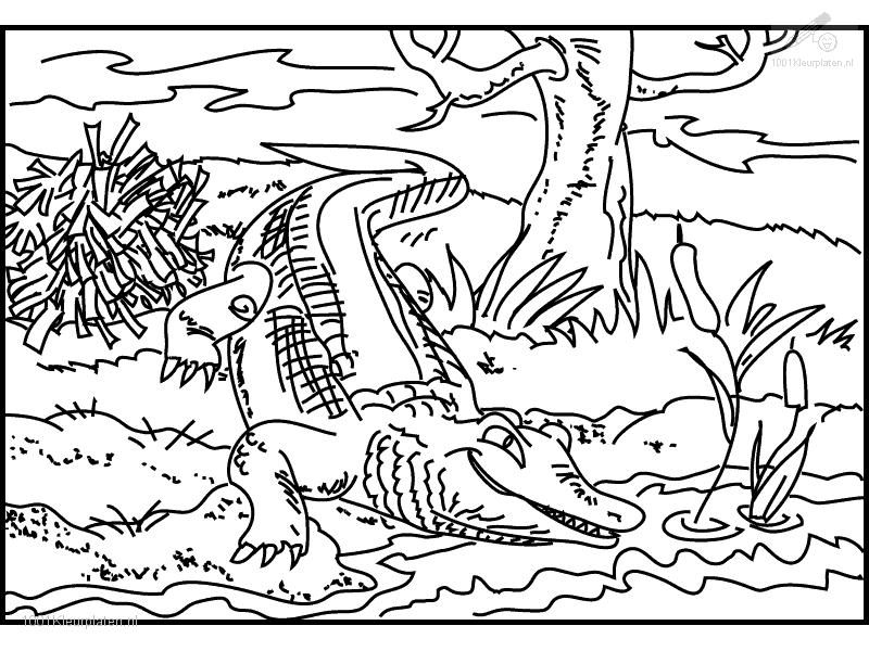 着色页: 鳄鱼 (动物) #4942 - 免费可打印着色页