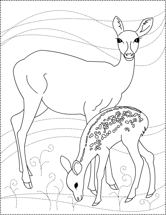 着色页: 狍 (动物) #2601 - 免费可打印着色页
