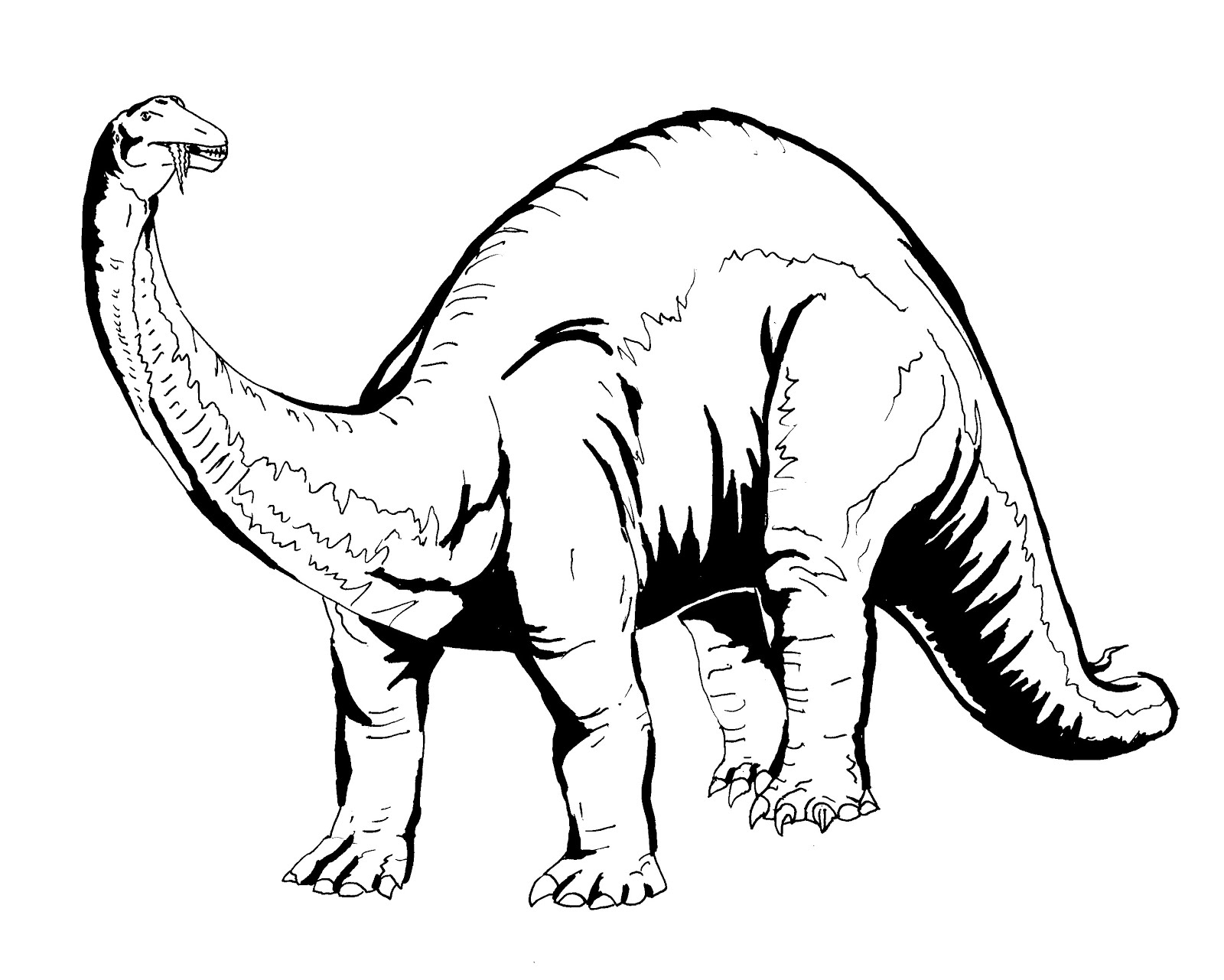 着色页: 恐龙 (动物) #5497 - 免费可打印着色页