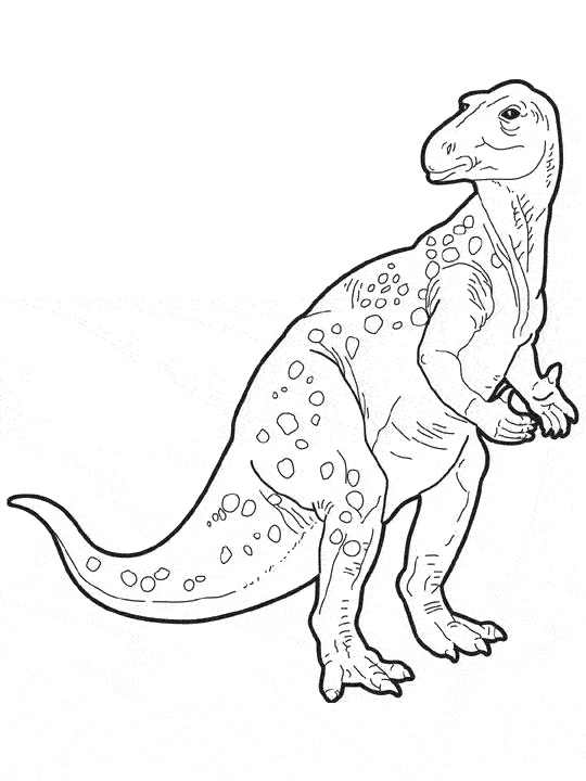 着色页: 恐龙 (动物) #5681 - 免费可打印着色页