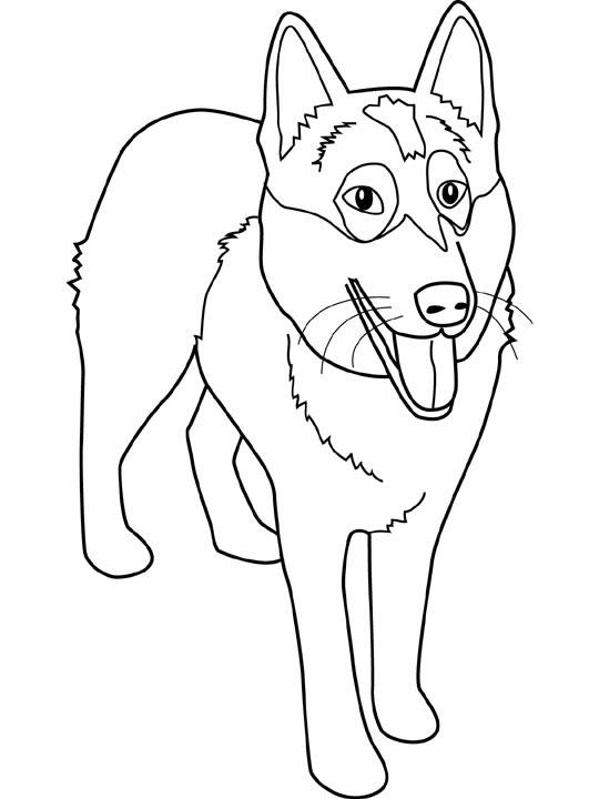 着色页: 狗 (动物) #3095 - 免费可打印着色页
