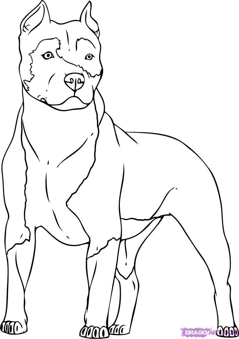 着色页: 狗 (动物) #3149 - 免费可打印着色页