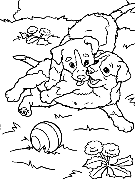 着色页: 狗 (动物) #3174 - 免费可打印着色页