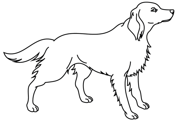 着色页: 狗 (动物) #3190 - 免费可打印着色页