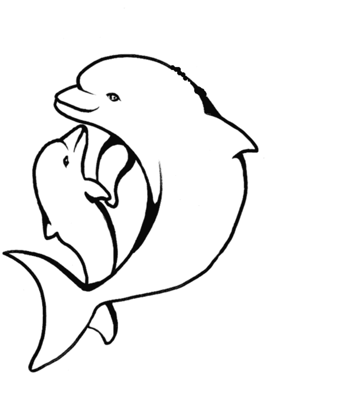 着色页: 海豚 (动物) #5091 - 免费可打印着色页