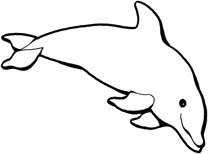 着色页: 海豚 (动物) #5095 - 免费可打印着色页