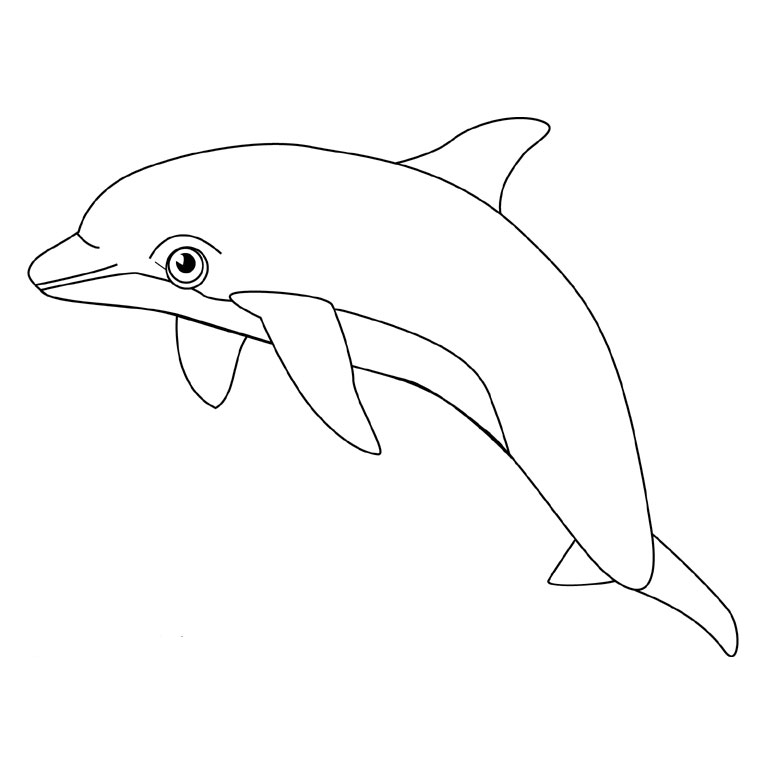 着色页: 海豚 (动物) #5096 - 免费可打印着色页