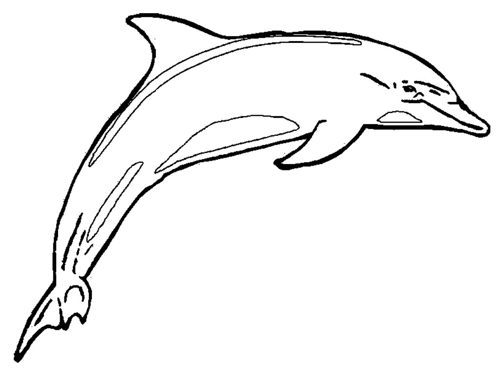 着色页: 海豚 (动物) #5099 - 免费可打印着色页