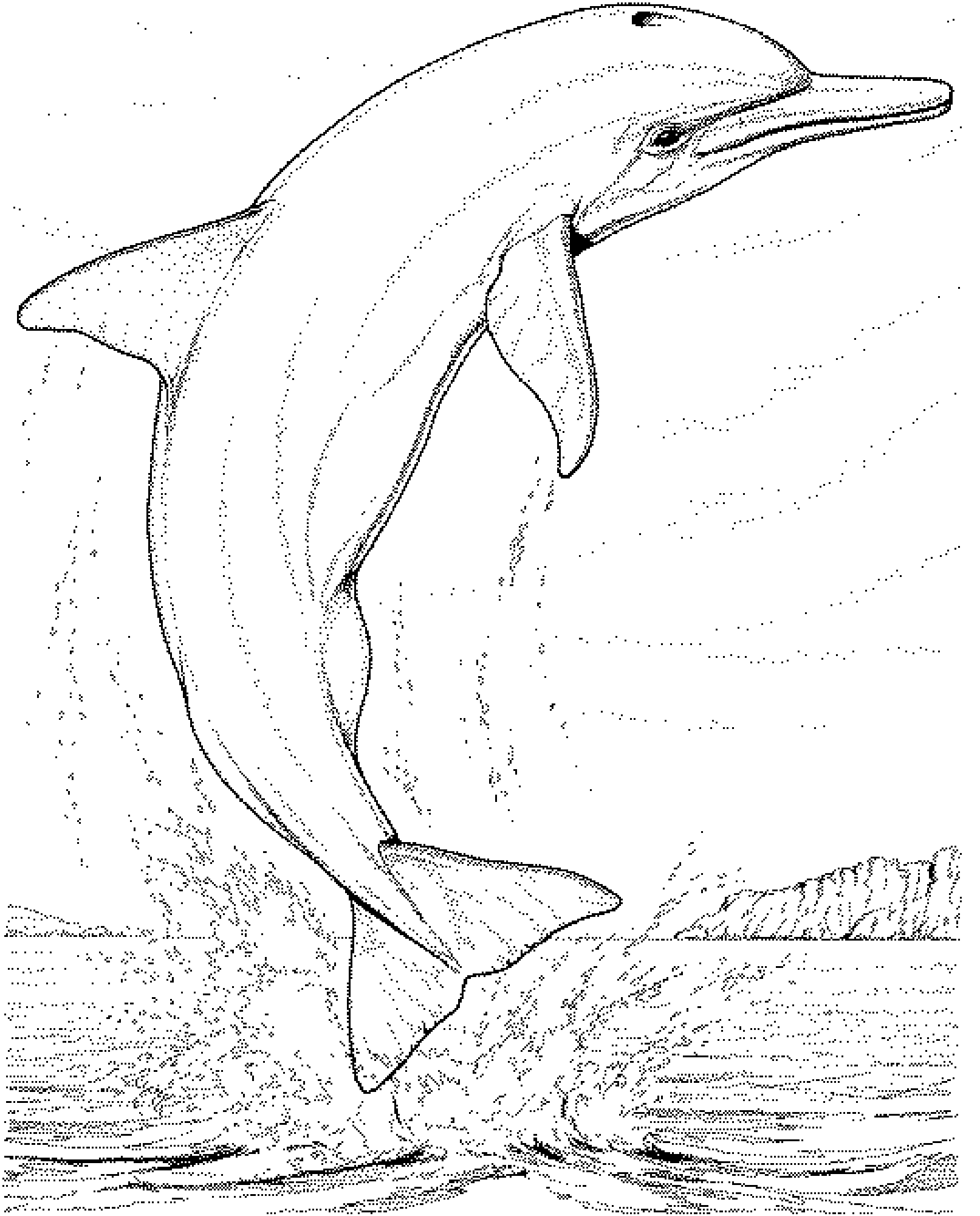 着色页: 海豚 (动物) #5100 - 免费可打印着色页