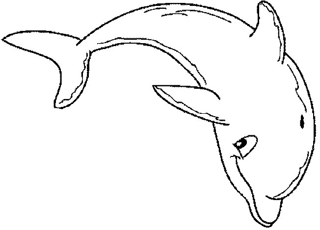 着色页: 海豚 (动物) #5112 - 免费可打印着色页