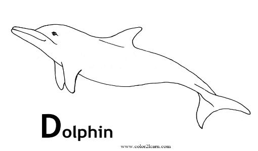 着色页: 海豚 (动物) #5157 - 免费可打印着色页