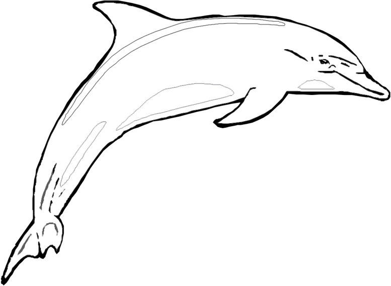 着色页: 海豚 (动物) #5159 - 免费可打印着色页