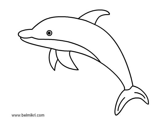 着色页: 海豚 (动物) #5162 - 免费可打印着色页