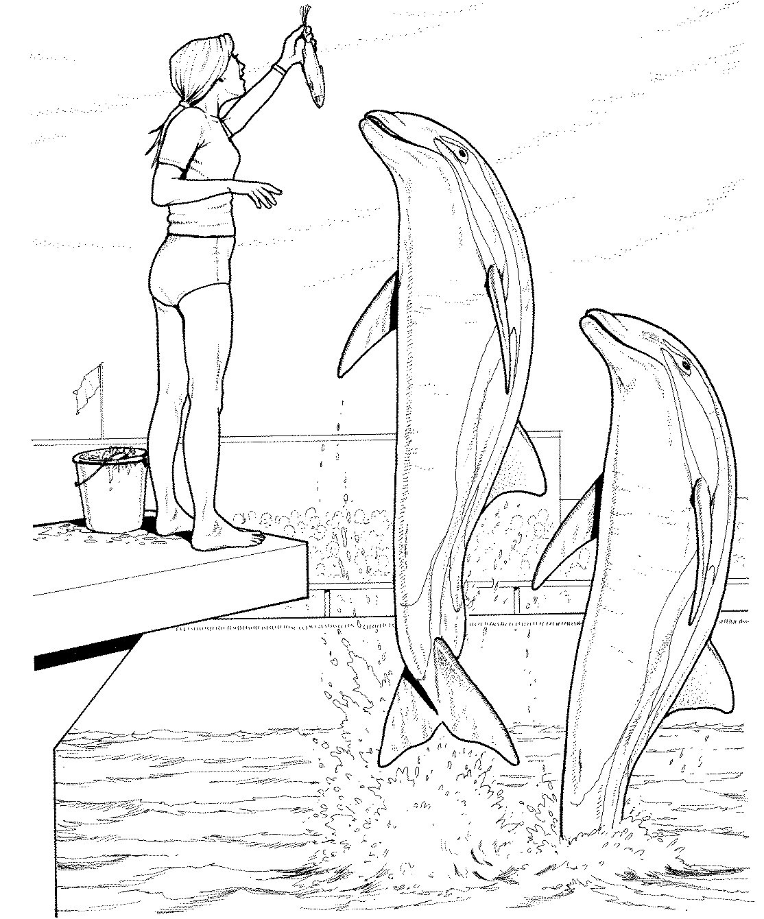 着色页: 海豚 (动物) #5191 - 免费可打印着色页