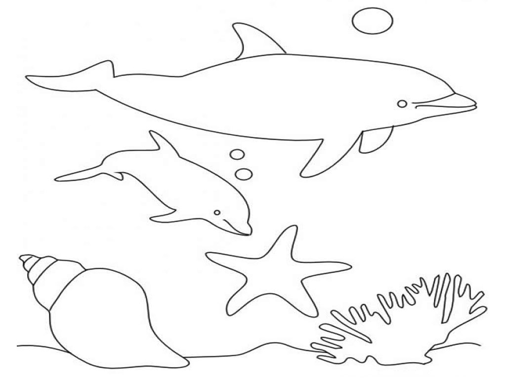 着色页: 海豚 (动物) #5219 - 免费可打印着色页