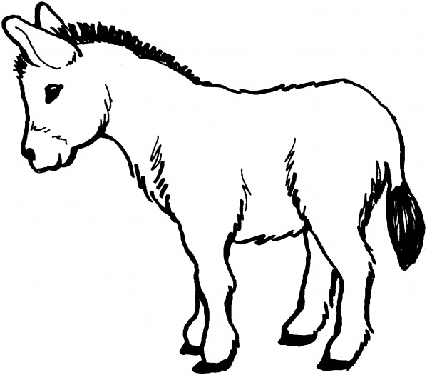 着色页: 驴 (动物) #475 - 免费可打印着色页
