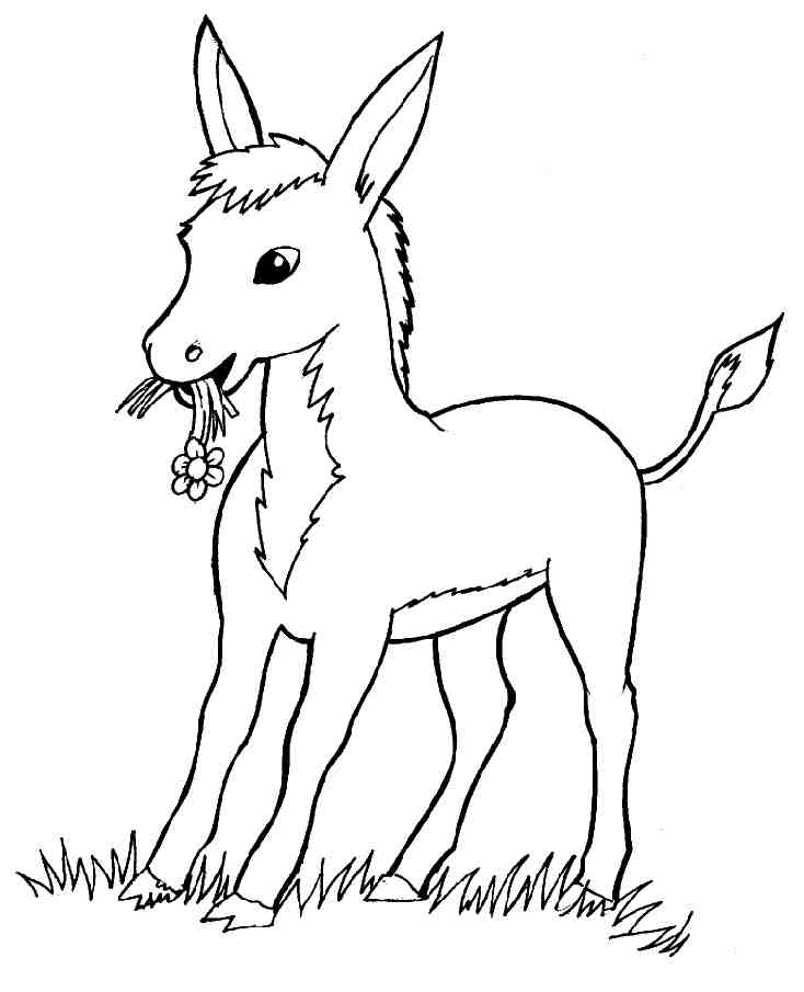 着色页: 驴 (动物) #478 - 免费可打印着色页