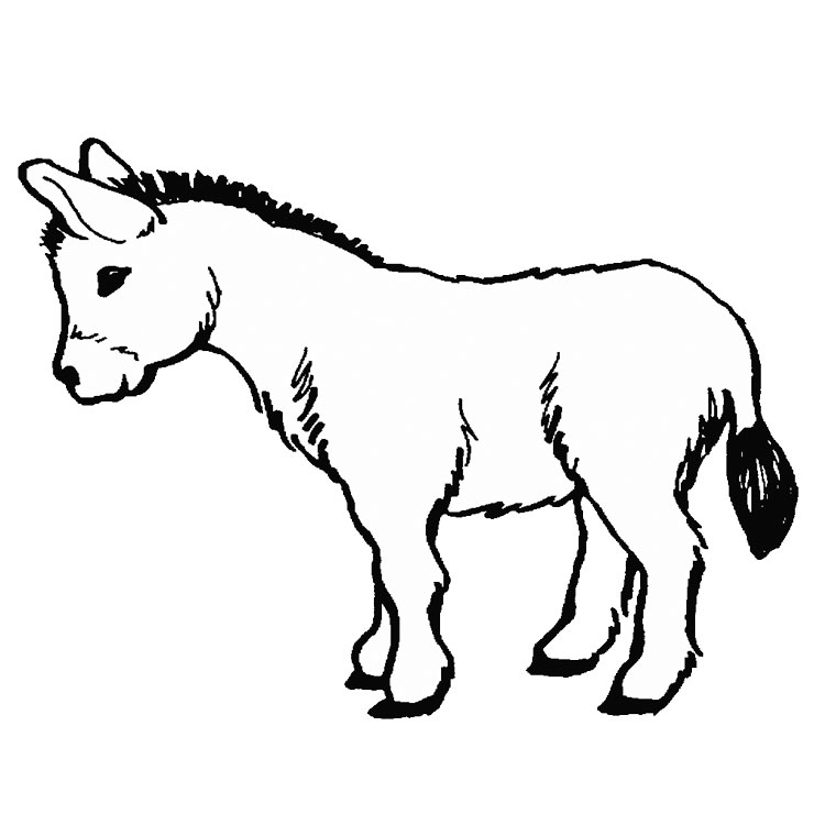 着色页: 驴 (动物) #484 - 免费可打印着色页