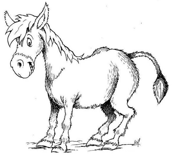 着色页: 驴 (动物) #504 - 免费可打印着色页