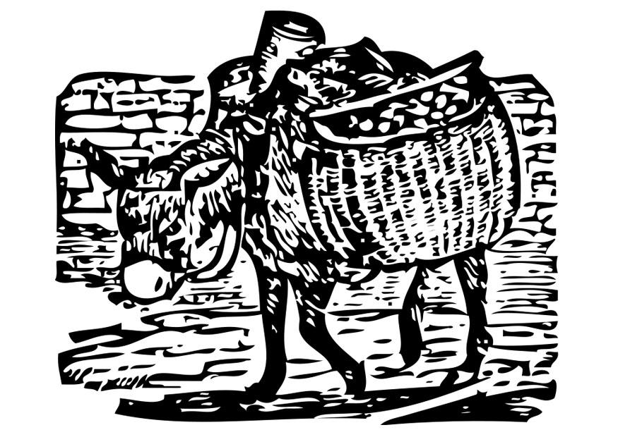 着色页: 驴 (动物) #528 - 免费可打印着色页