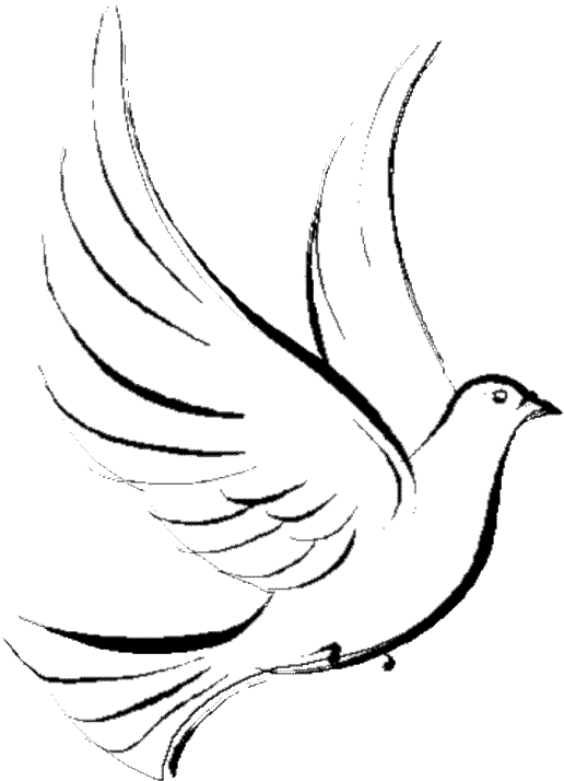 着色页: 鸽子 (动物) #3884 - 免费可打印着色页