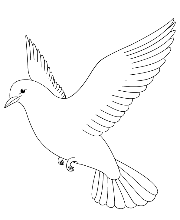 着色页: 鸽子 (动物) #3895 - 免费可打印着色页