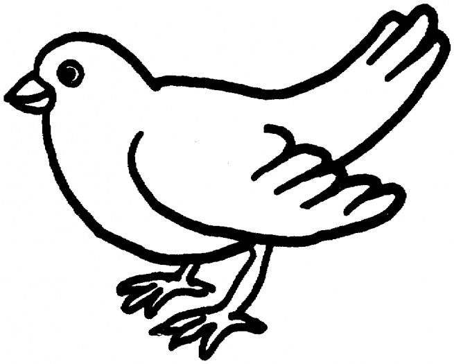 着色页: 鸽子 (动物) #3959 - 免费可打印着色页