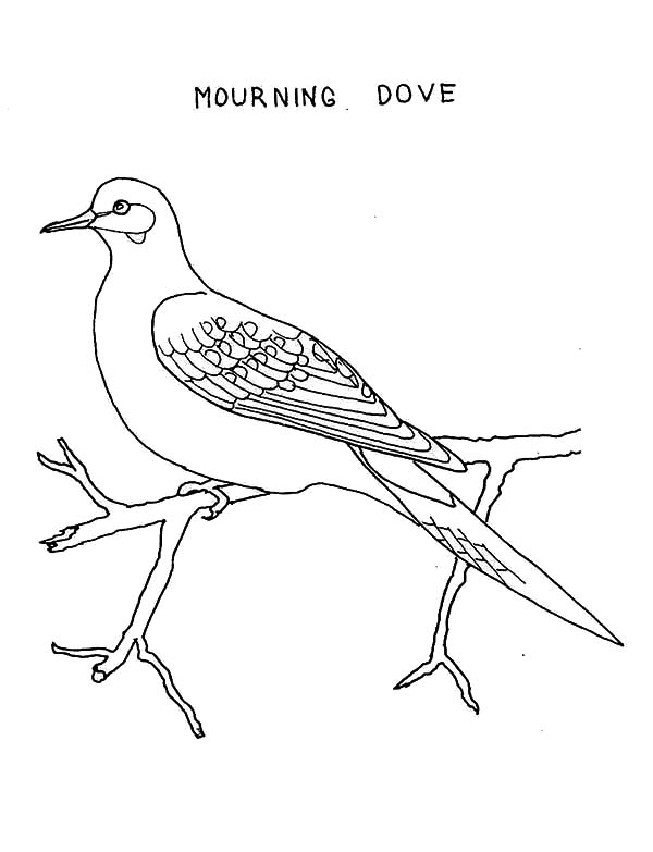 着色页: 鸽子 (动物) #4005 - 免费可打印着色页