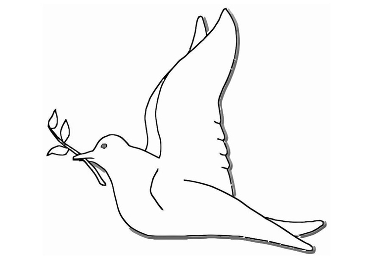 着色页: 鸽子 (动物) #4024 - 免费可打印着色页