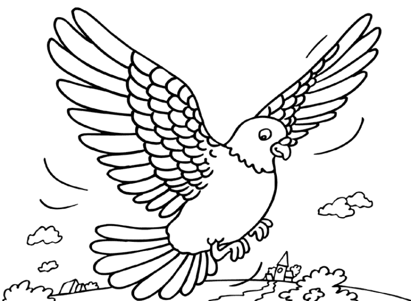 着色页: 鸽子 (动物) #4026 - 免费可打印着色页