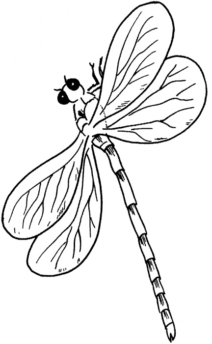 着色页: 蜻蜓 (动物) #10061 - 免费可打印着色页
