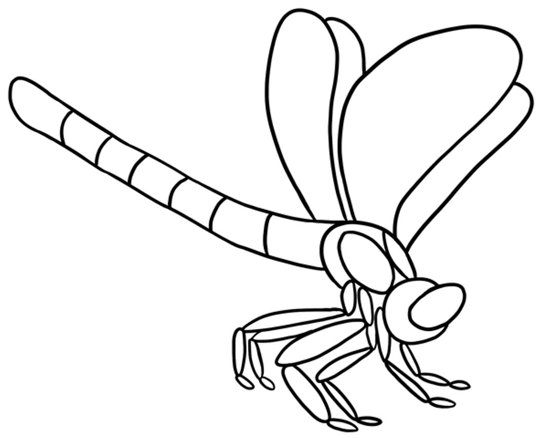 着色页: 蜻蜓 (动物) #9886 - 免费可打印着色页