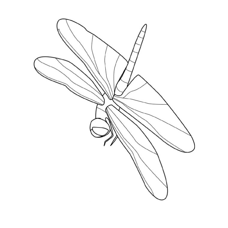 着色页: 蜻蜓 (动物) #9916 - 免费可打印着色页