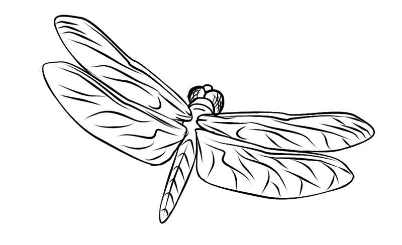 着色页: 蜻蜓 (动物) #9925 - 免费可打印着色页