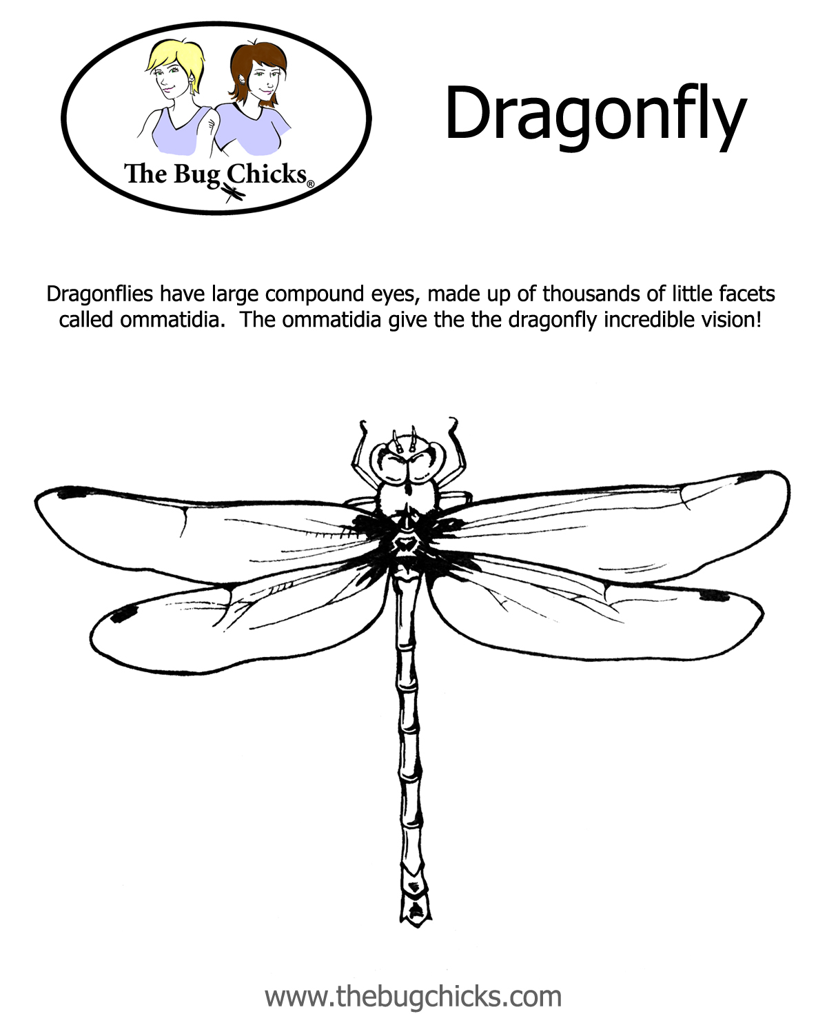 着色页: 蜻蜓 (动物) #9970 - 免费可打印着色页