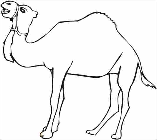 着色页: 单峰骆驼 (动物) #5896 - 免费可打印着色页