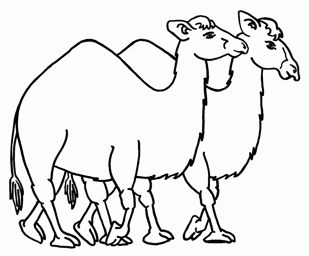 着色页: 单峰骆驼 (动物) #5909 - 免费可打印着色页