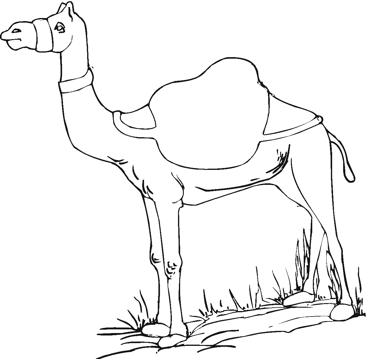 着色页: 单峰骆驼 (动物) #5914 - 免费可打印着色页