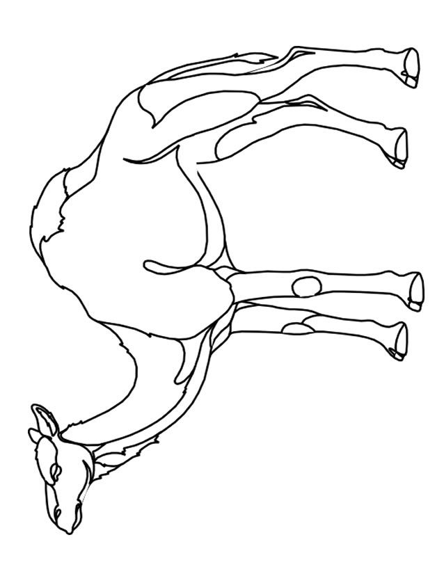 着色页: 单峰骆驼 (动物) #5925 - 免费可打印着色页